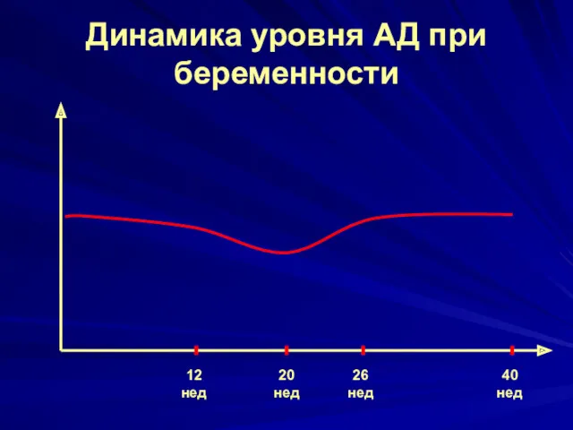 Динамика уровня АД при беременности 12 нед 20 нед 40 нед 26 нед