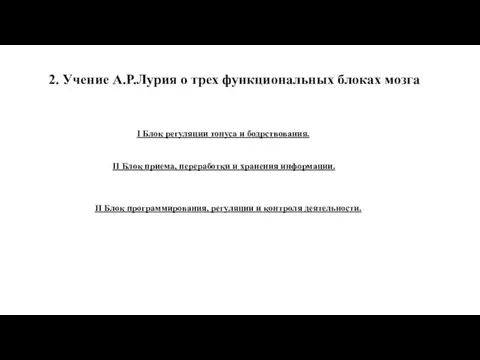 2. Учение А.Р.Лурия о трех функциональных блоках мозга I Блок