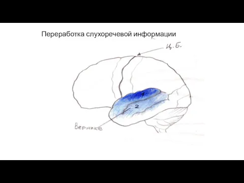 Переработка слухоречевой информации