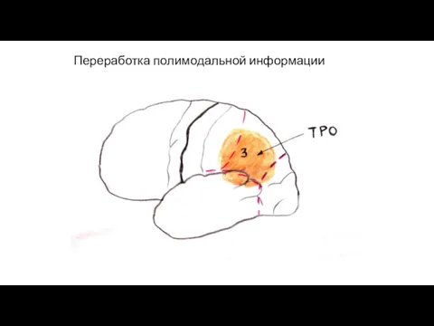 Переработка полимодальной информации