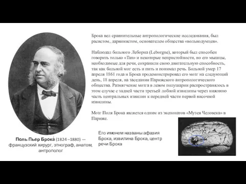 Поль Пьер Брока́ (1824 –1880) — французский хирург, этнограф, анатом,