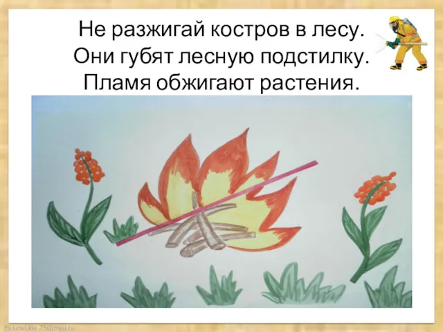 Не разжигай костров в лесу. Они губят лесную подстилку. Пламя обжигают растения.