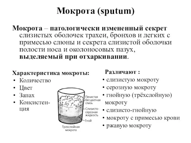 Мокрота (sputum) Мокрота – патологически измененный секрет слизистых оболочек трахеи,