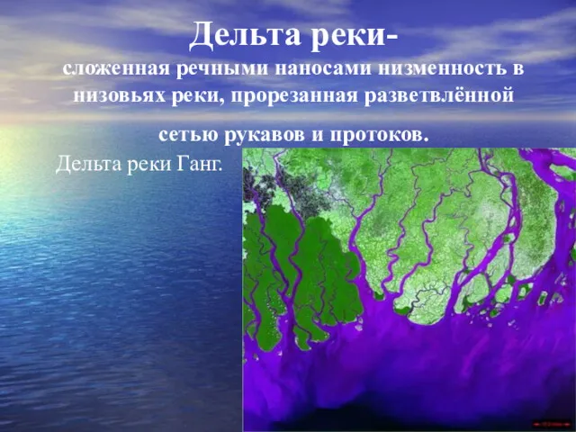 Дельта реки- сложенная речными наносами низменность в низовьях реки, прорезанная