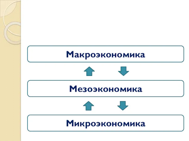 Микроэкономика Мезоэкономика Макроэкономика