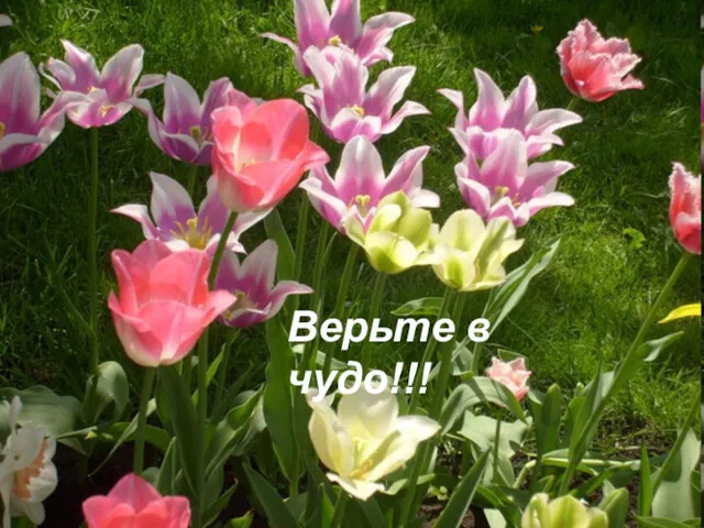 Верьте в чудо!!!