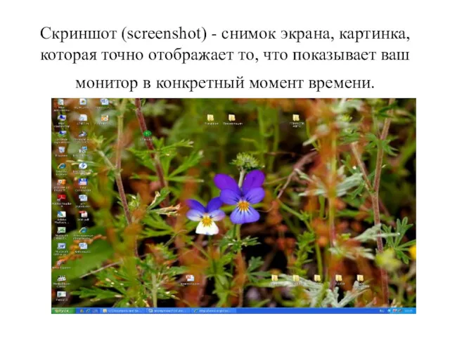 Скриншот (screenshot) - снимок экрана, картинка, которая точно отображает то,