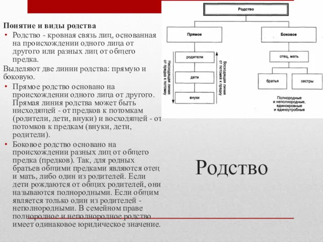 Родство Понятие и виды родства Родство - кровная связь лиц,