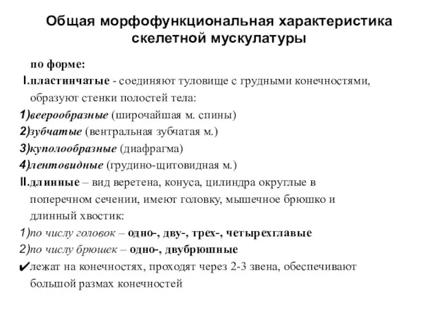 Общая морфофункциональная характеристика скелетной мускулатуры по форме: пластинчатые - соединяют туловище с грудными