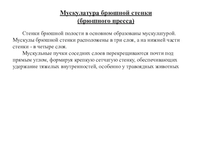 Мускулатура брюшной стенки (брюшного пресса) Стенки брюшной полости в основном образованы мускулатурой. Мускулы