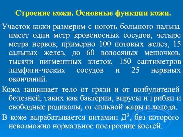 Строение кожи. Основные функции кожи. Участок кожи размером с ноготь