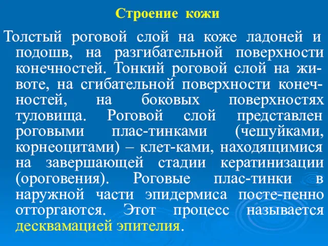 Строение кожи Толстый роговой слой на коже ладоней и подошв,