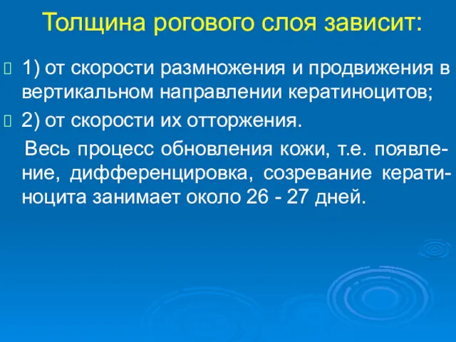 Толщина рогового слоя зависит: 1) от скорости размножения и продвижения