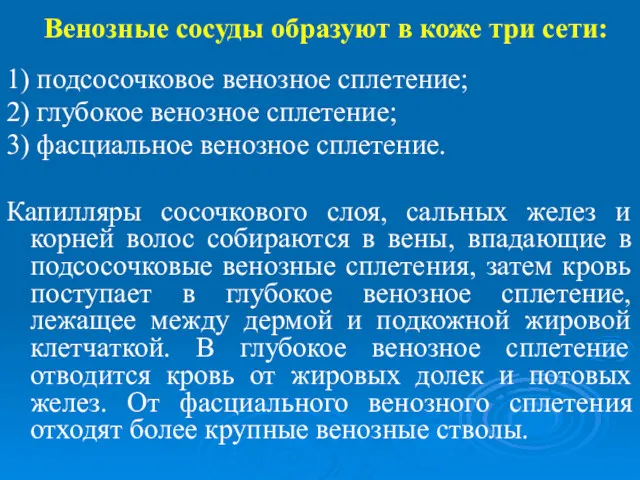 Венозные сосуды образуют в коже три сети: 1) подсосочковое венозное