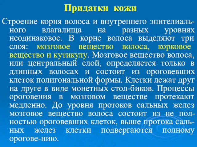 Придатки кожи Строение корня волоса и внутреннего эпителиаль-ного влагалища на