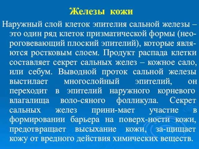 Железы кожи Наружный слой клеток эпителия сальной железы – это