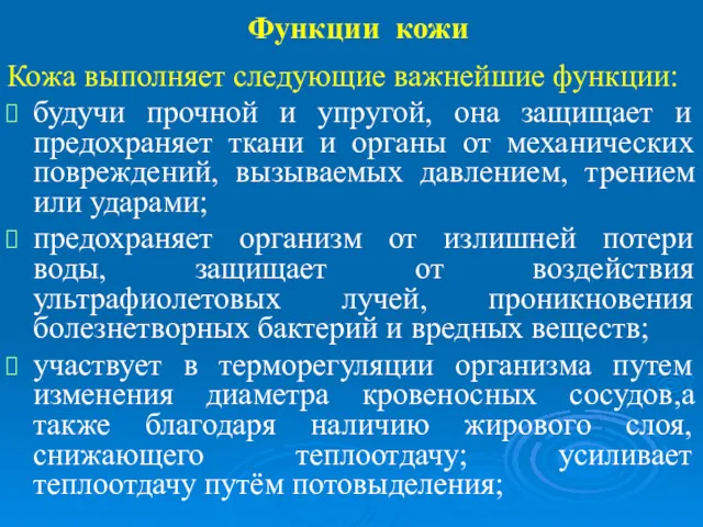 Функции кожи Кожа выполняет следующие важнейшие функции: будучи прочной и