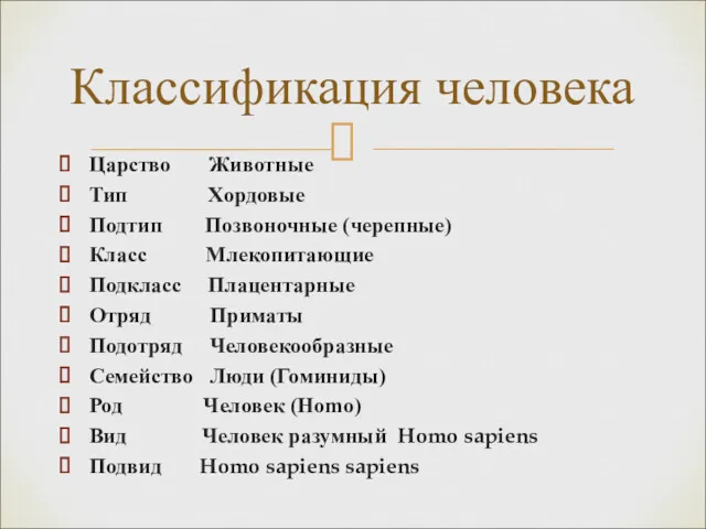 Царство Животные Тип Хордовые Подтип Позвоночные (черепные) Класс Млекопитающие Подкласс