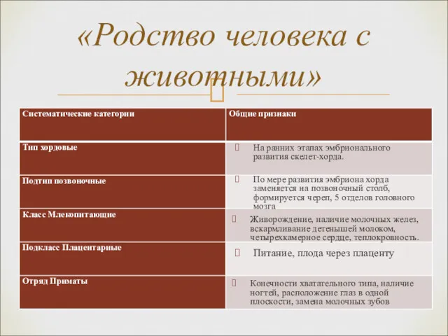 «Родство человека с животными» На ранних этапах эмбрионального развития скелет-хорда.