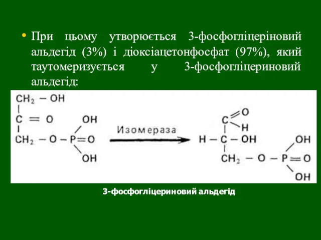 При цьому утворюється 3-фосфогліцеріновий альдегід (3%) і діоксіацетонфосфат (97%), який таутомеризується у 3-фосфогліцериновий альдегід: 3-фосфогліцериновий альдегід