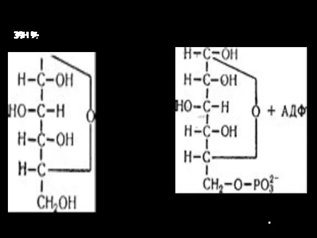 30H % H-C-OH +ATФ глюкозо-1-фосфат глюкозо-6-фосфат.