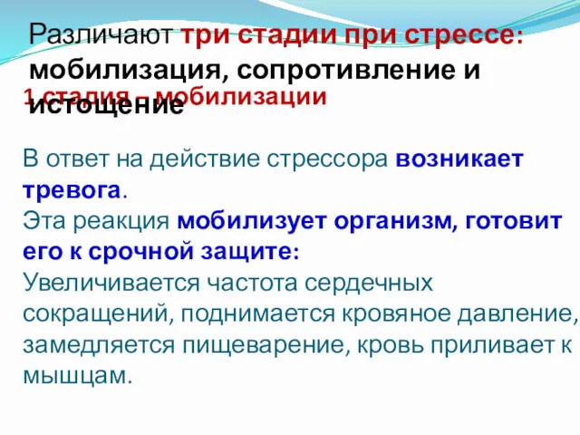 1 стадия – мобилизации В ответ на действие стрессора возникает