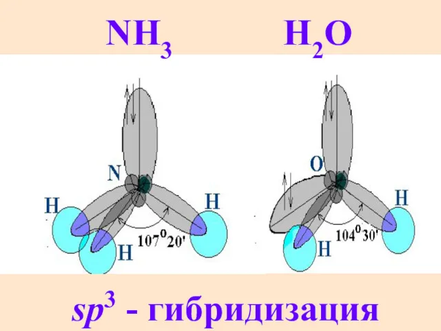 NH3 H2O sp3 - гибридизация