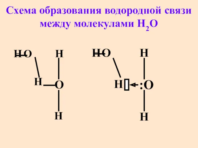 Cхема образования водородной связи между молекулами H2O Н О Н