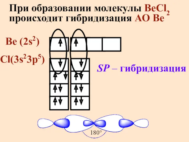 При образовании молекулы BeCl2 происходит гибридизация АО Be Be (2s2) Cl(3s23p5) SP – гибридизация 180°