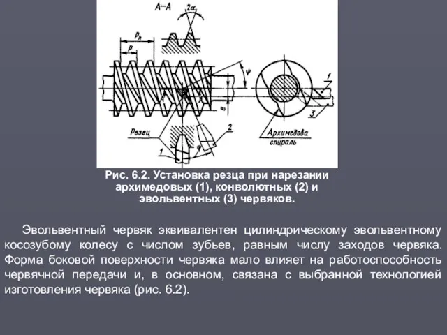 Рис. 6.2. Установка резца при нарезании архимедовых (1), конволютных (2)