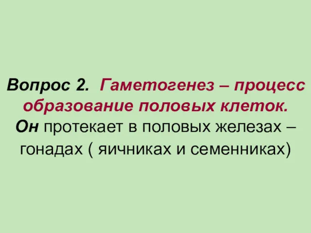 Вопрос 2. Гаметогенез – процесс образование половых клеток. Он протекает