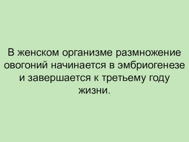 В женском организме размножение овогоний начинается в эмбриогенезе и завершается к третьему году жизни.