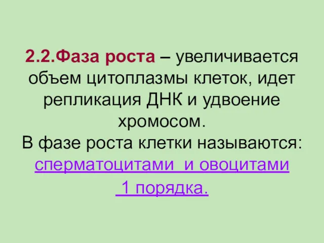 2.2.Фаза роста – увеличивается объем цитоплазмы клеток, идет репликация ДНК