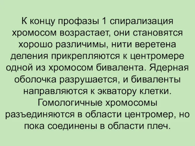 К концу профазы 1 спирализация хромосом возрастает, они становятся хорошо