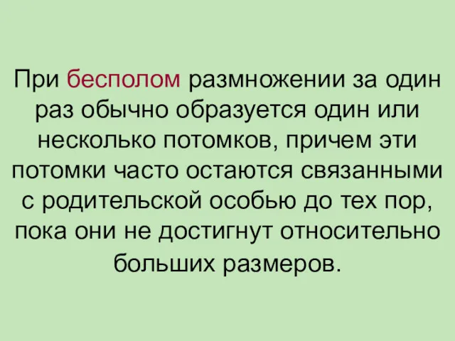 При бесполом размножении за один раз обычно образуется один или