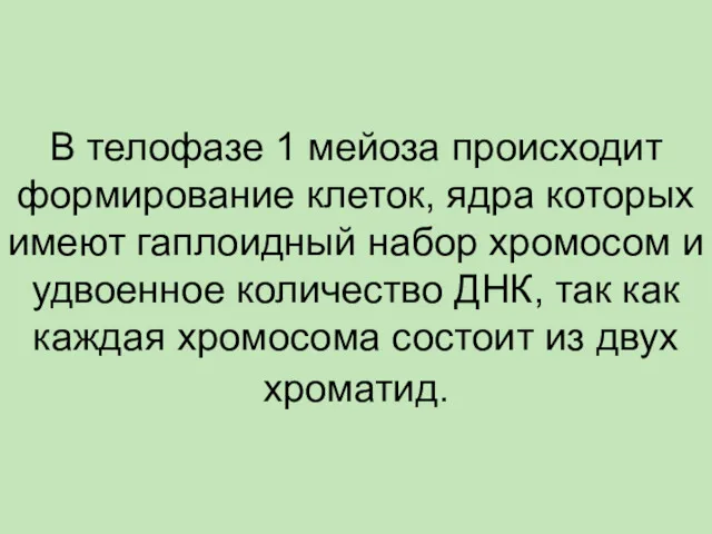 В телофазе 1 мейоза происходит формирование клеток, ядра которых имеют