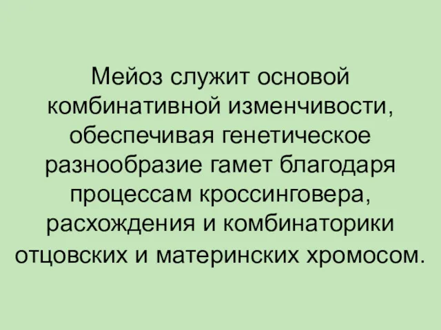 Мейоз служит основой комбинативной изменчивости, обеспечивая генетическое разнообразие гамет благодаря