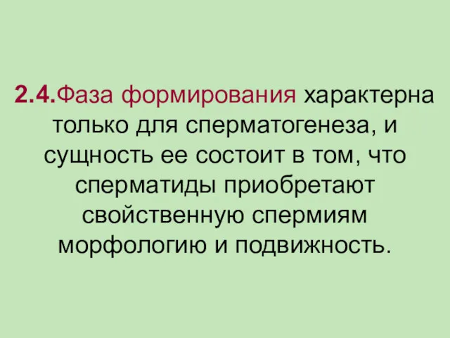 2.4.Фаза формирования характерна только для сперматогенеза, и сущность ее состоит