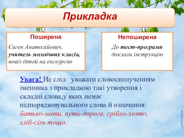 Прикладка Поширена Євген Анатолійович, учитель молодших класів, повіз дітей на