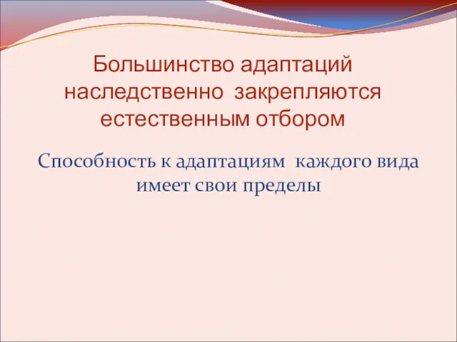 Большинство адаптаций наследственно закрепляются естественным отбором Способность к адаптациям каждого вида имеет свои пределы