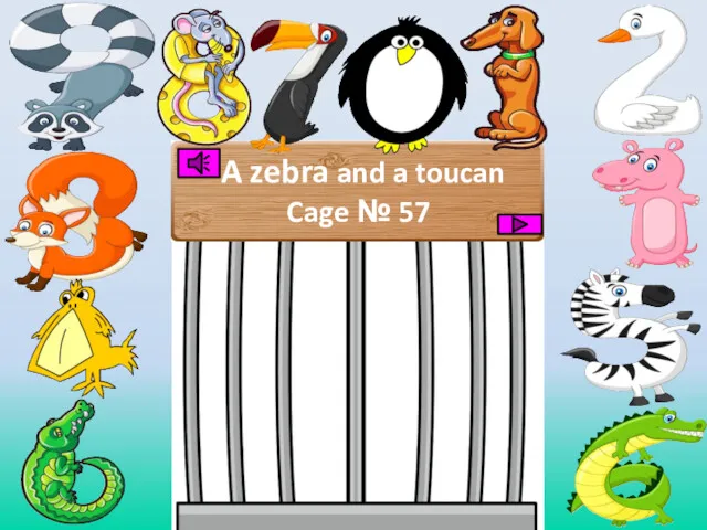 A zebra and a toucan Cage № 57
