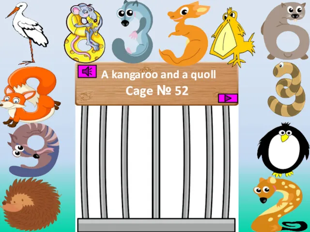 A kangaroo and a quoll Cage № 52
