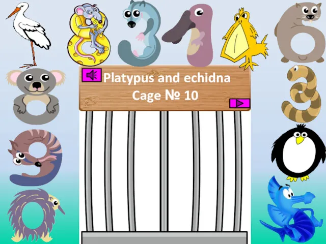Platypus and echidna Cage № 10