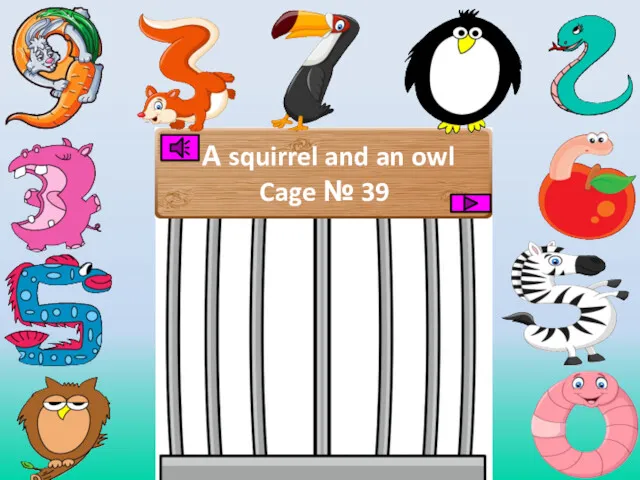 A squirrel and an owl Cage № 39