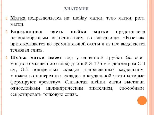 Анатомия Матка подразделяется на: шейку матки, тело матки, рога матки. Влагалищная часть шейки