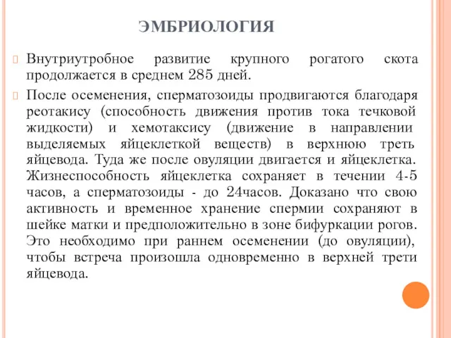 ЭМБРИОЛОГИЯ Внутриутробное развитие крупного рогатого скота продолжается в среднем 285 дней. После осеменения,