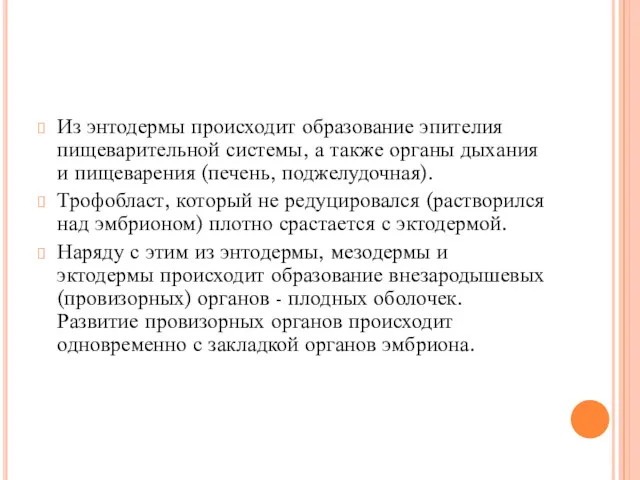 Из энтодермы происходит образование эпителия пищеварительной системы, а также органы дыхания и пищеварения