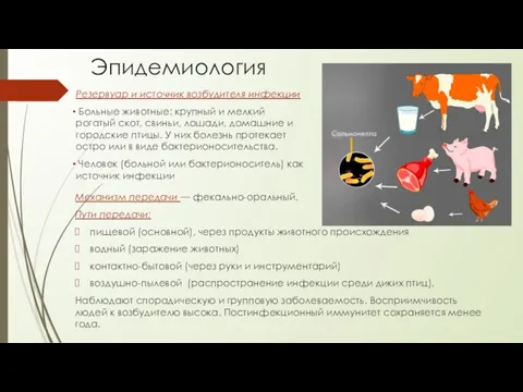 Эпидемиология Механизм передачи — фекально-оральный. Пути передачи: пищевой (основной), через