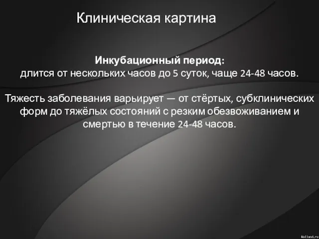 Инкубационный период: длится от нескольких часов до 5 суток, чаще