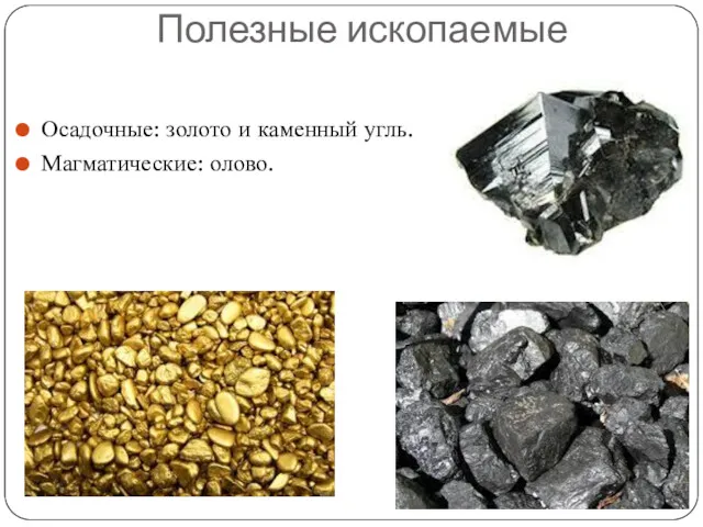 Полезные ископаемые Осадочные: золото и каменный угль. Магматические: олово.